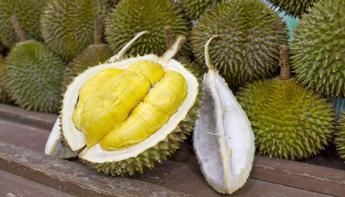 Sầu riêng còn hỗ trợ chuyển hóa năng lượng Sầu riêng còn hỗ trợ chuyển hóa năng lượng