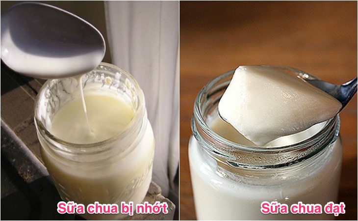 Cách làm sữa chua không bị nhớt Cách làm sữa chua không bị nhớt