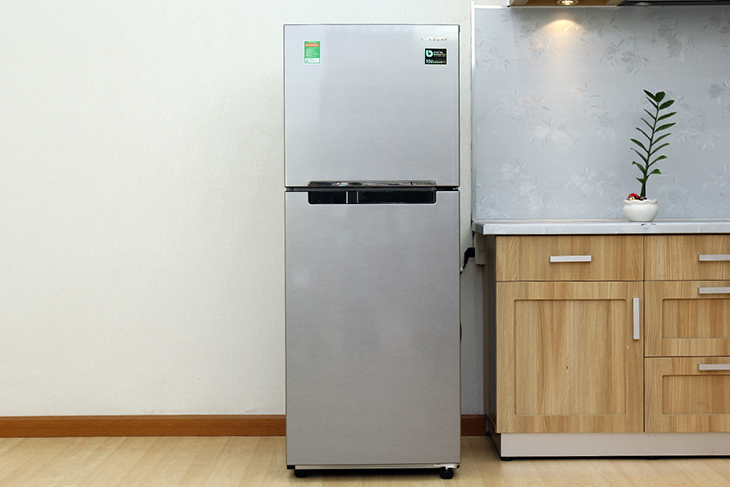 Tủ lạnh Samsung RT20HAR8DSA/SV 
