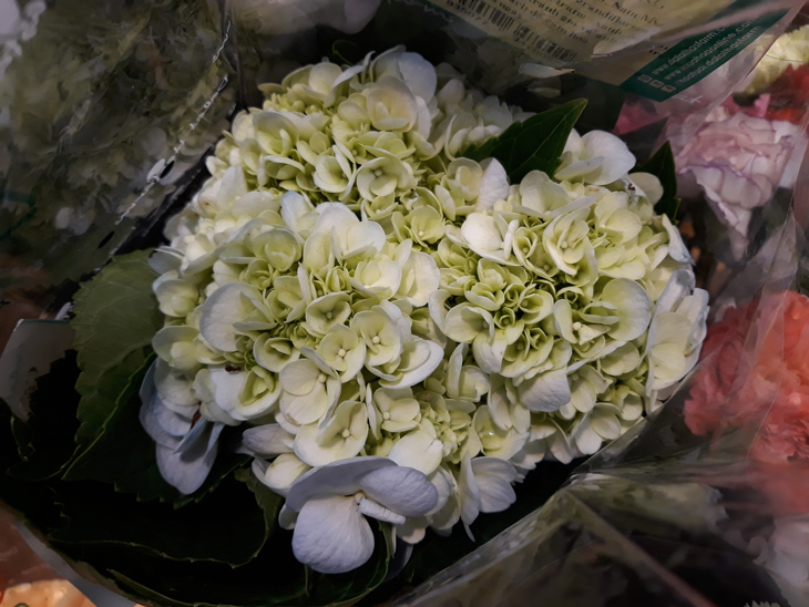 Đánh giá camera Samsung J7 Pro: khẩu độ f1.7 chụp ảnh đẹp không? Đánh giá camera Samsung J7 Pro: khẩu độ f1.7 chụp ảnh đẹp không?