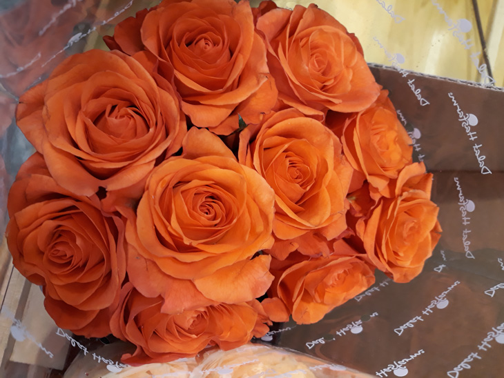 Đánh giá camera Samsung J7 Pro: khẩu độ f1.7 chụp ảnh đẹp không? Đánh giá camera Samsung J7 Pro: khẩu độ f1.7 chụp ảnh đẹp không?