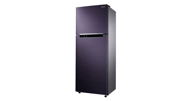 Tủ lạnh Samsung RT25M4033UT/SV