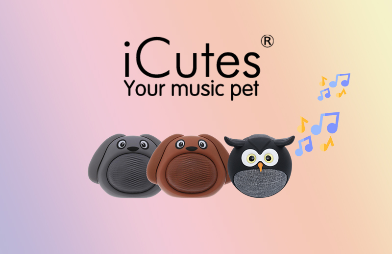 Xuất xứ thương hiệu iCutes